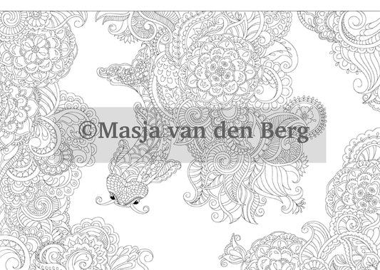 kleurplaat uit Mijn wonderlijke wereld- vis koi karper en paisleys