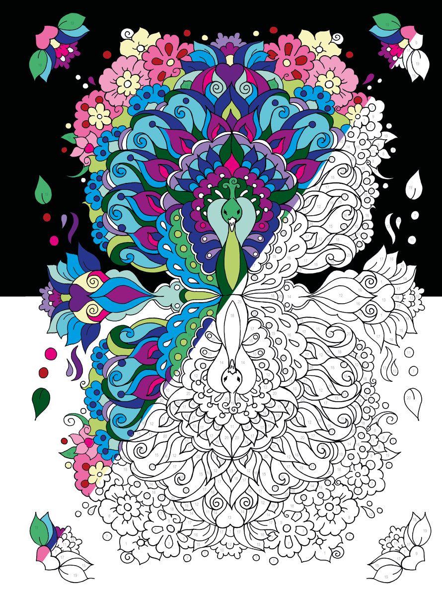 Mijn wonderelijke wereld- Kleuren op nummer * PRE_ORDER*